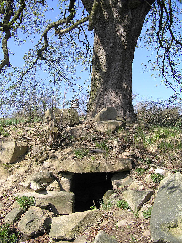 Kaštanová studánka (1126)