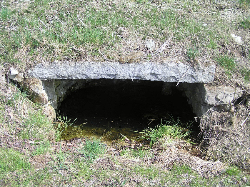 studánka bez jména (1129)