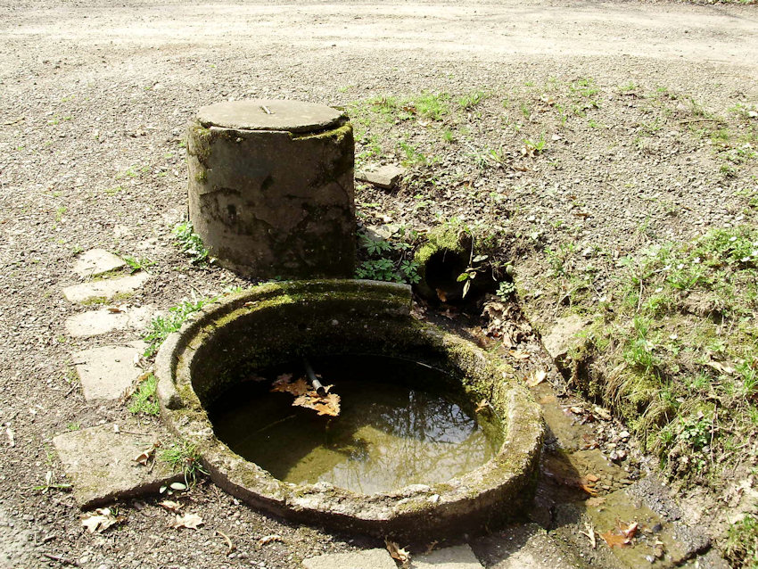 studánka U Myslivecké chaty 1 (1136)