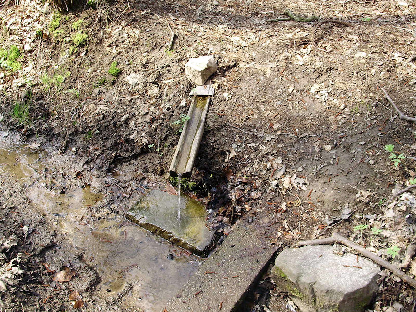 studánka U Myslivecké chaty 2 (1137)