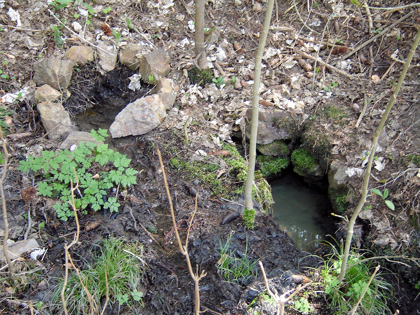 studánka Nad Žabincem (1141)