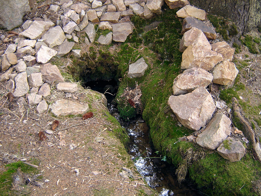 studánka Mechová (1142)