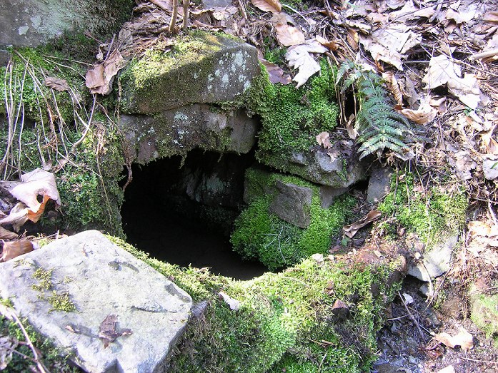 studánka bez jména (1143)