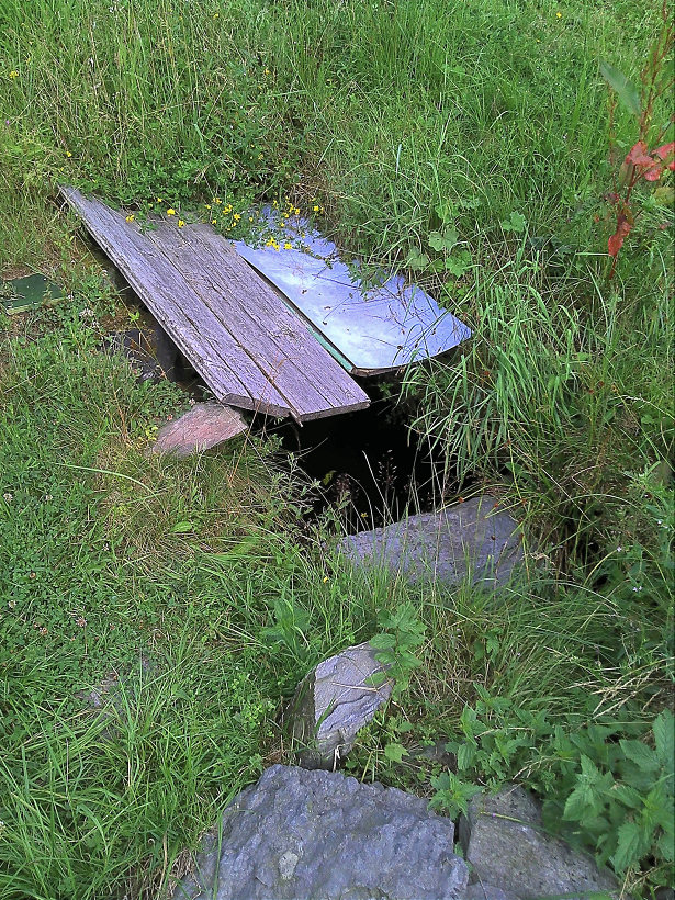 studánka bez jména (115)