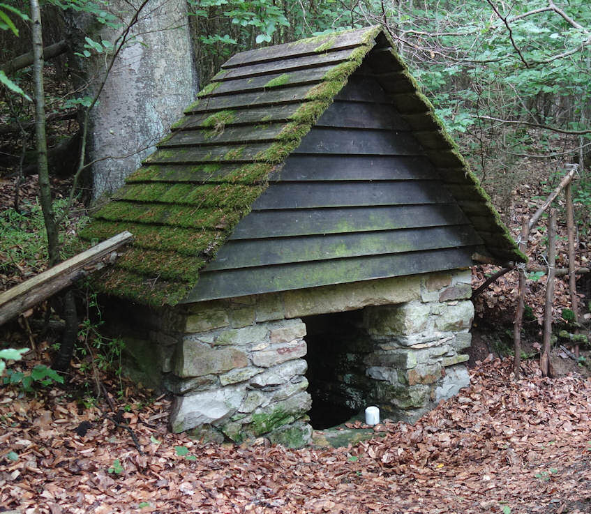 studánka Pod Červeným křížem (1150)