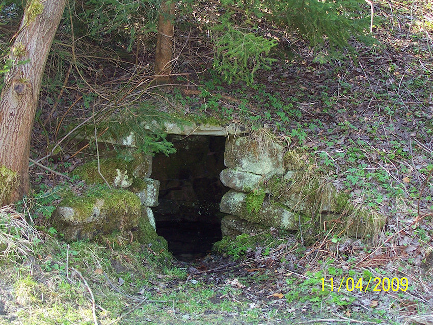 studánka bez jména (1153)