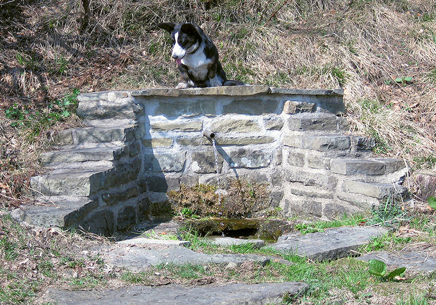 studánka U Česnečky (1160)