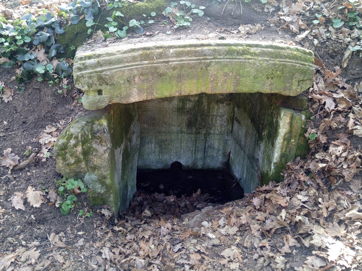 studánka Pod bukem (1169)