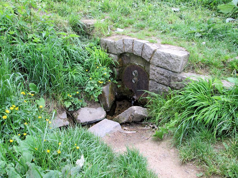 studánka Pod Starou dálnicí (1170)