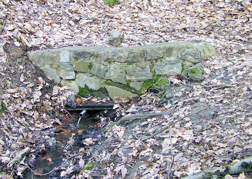 Srnčí - Kroupova studánka (1171)