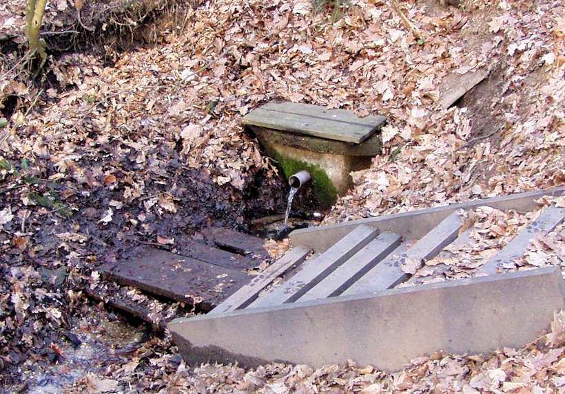 studánka bez jména (1177)