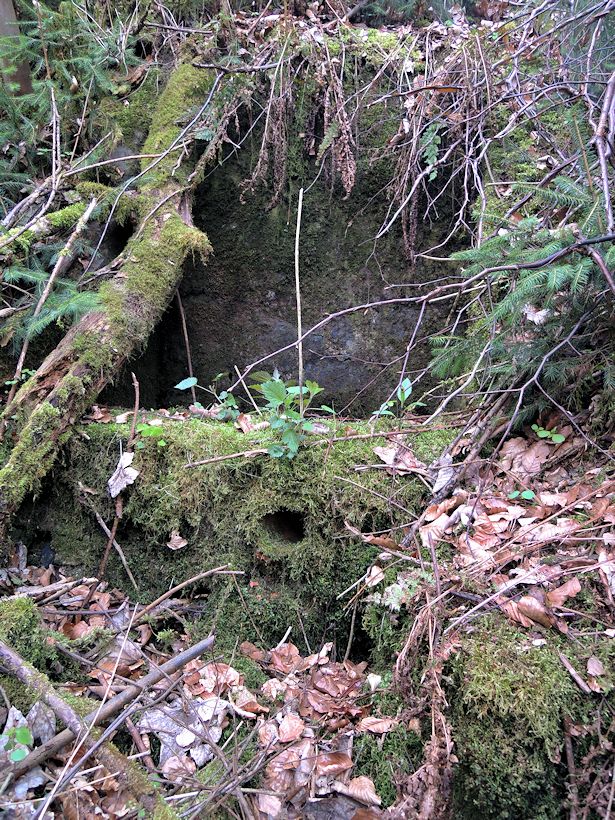 studánka U Budkovanu (1182)