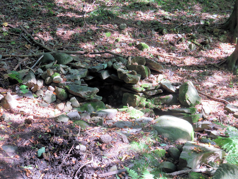 studánka U manzurské skály (1185)