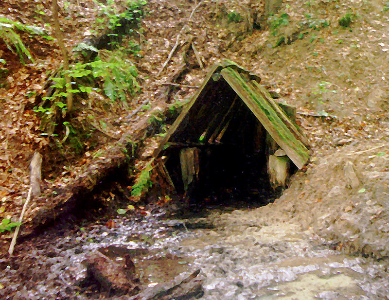 studánka bez jména (1188)