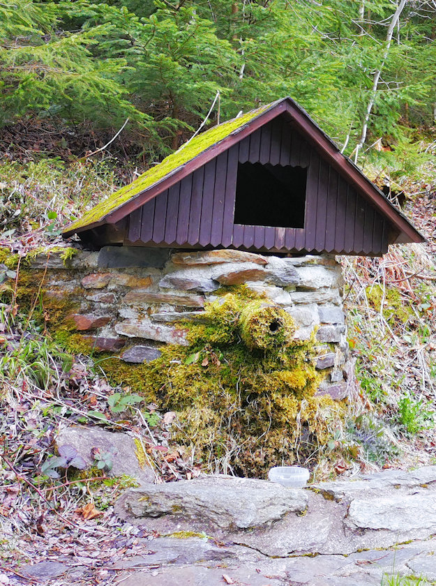 studánka bez jména (1193)