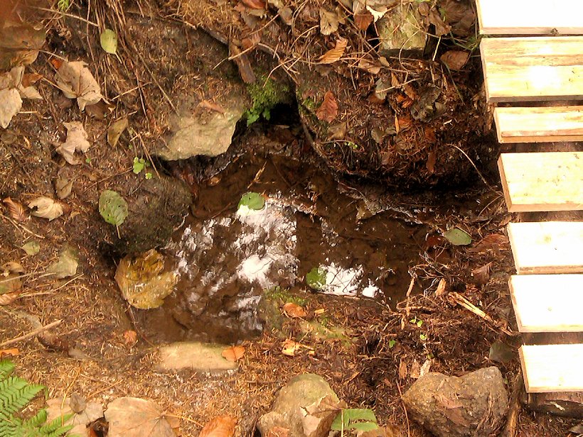Permoníkova studánka (1195)