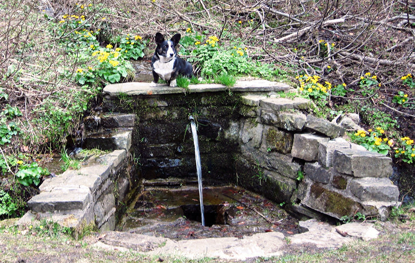studánka Loriška (1198)