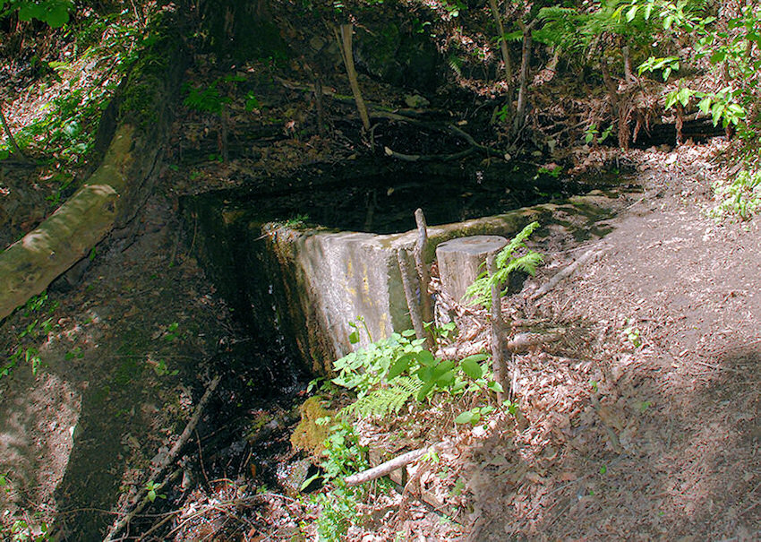 studánka Pod Baněmi (1205)