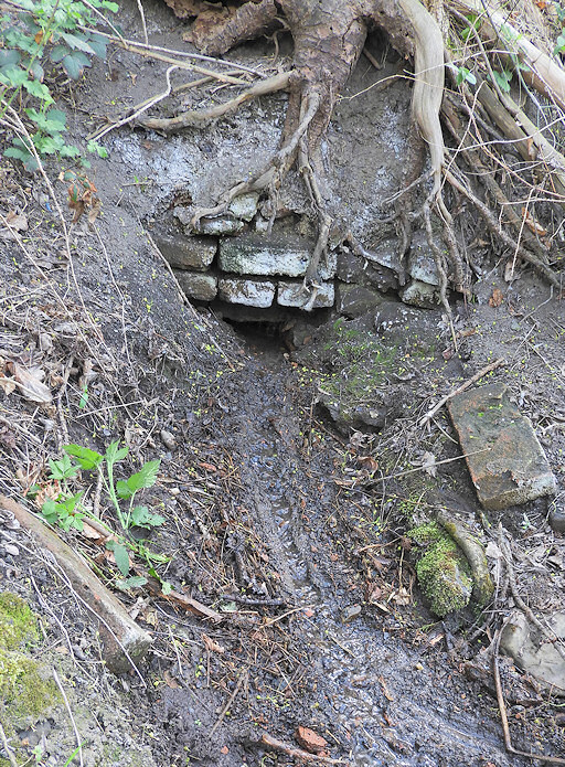 studánka Nad Peluňkem (1210)