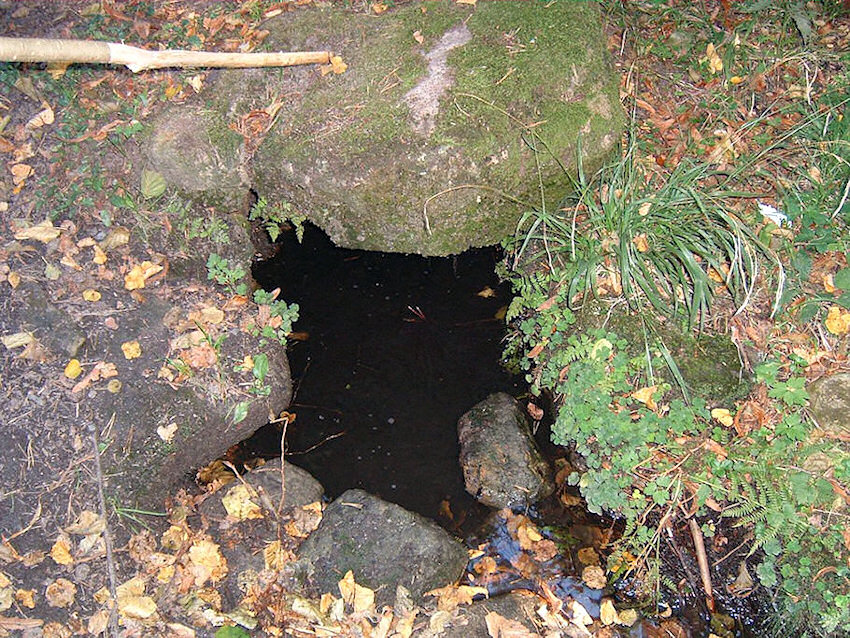 studánka Panský stůl (1218)