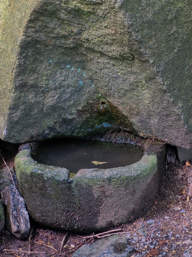 Verunčina studánka (1239)