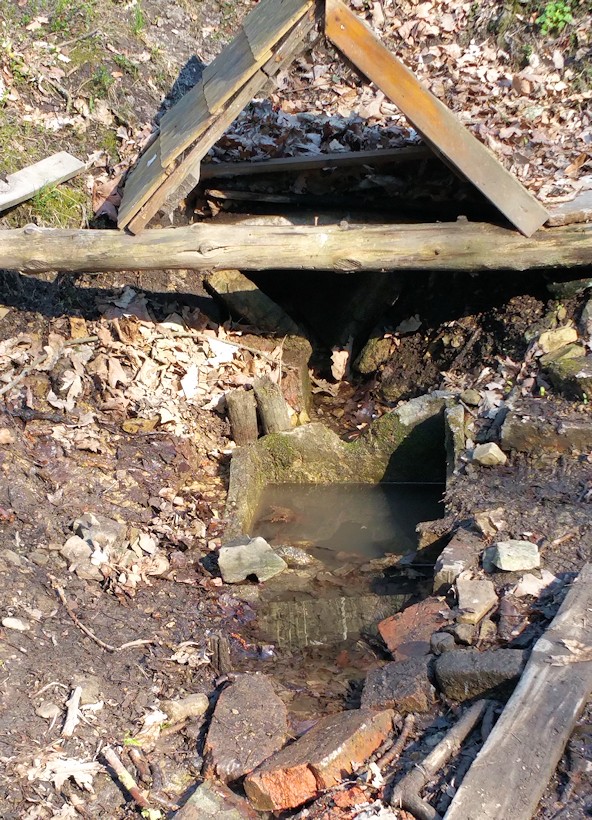 Týnecký pramen (1245)