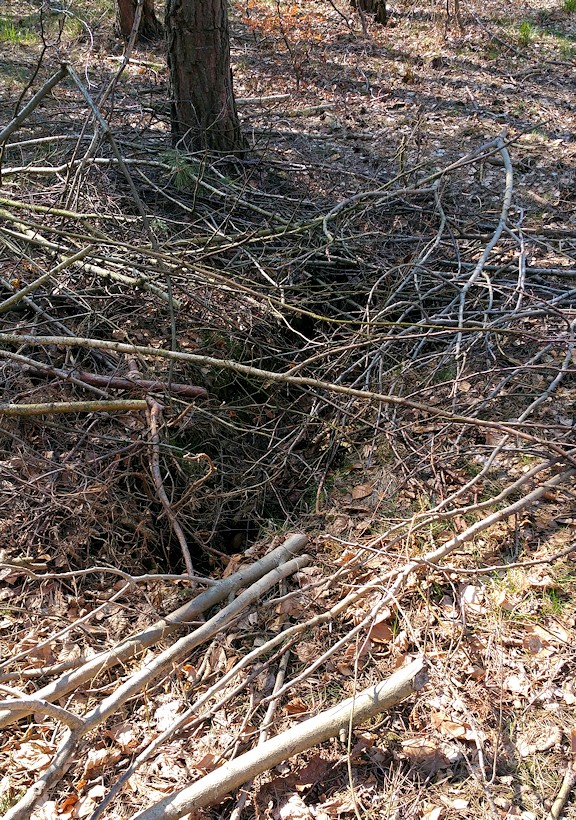 studánka Ztracená (1246)