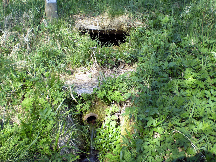 studánka Uhlířka (1256)