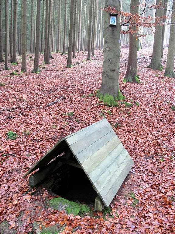 studánka Rousínovská kašna (126)