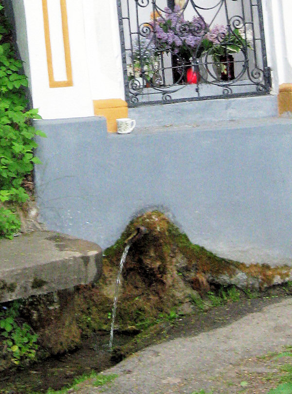 studánka Nepřejov (1260)
