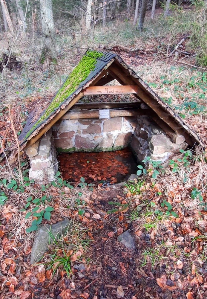studánka Na Mostnicích (1271)