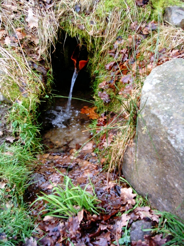 studna Karšíkovic studánka (1276)