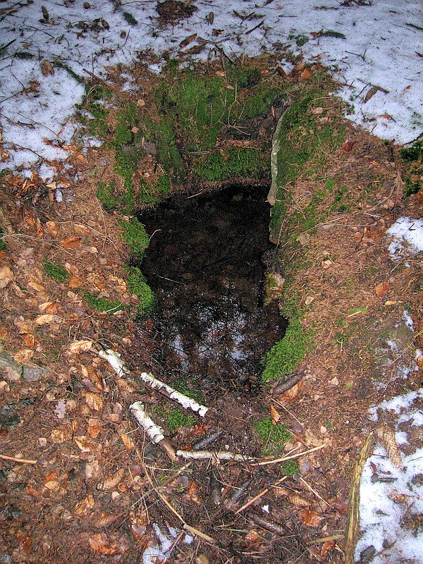 pramen Pod Krkavčinou (1282)