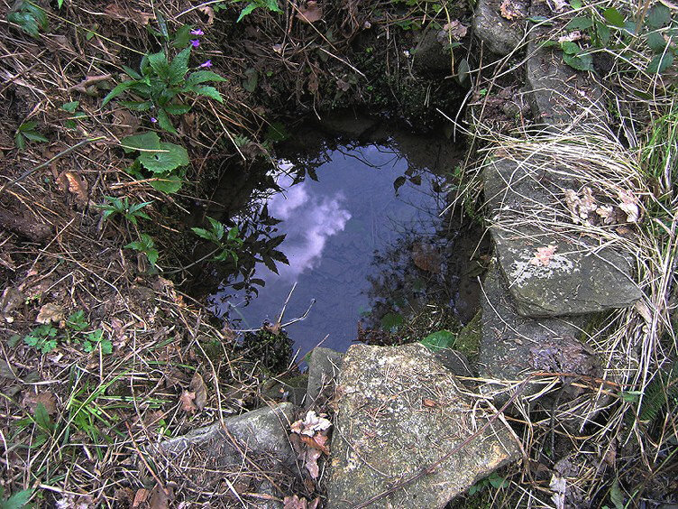 Šimůnkova studánka (1293)