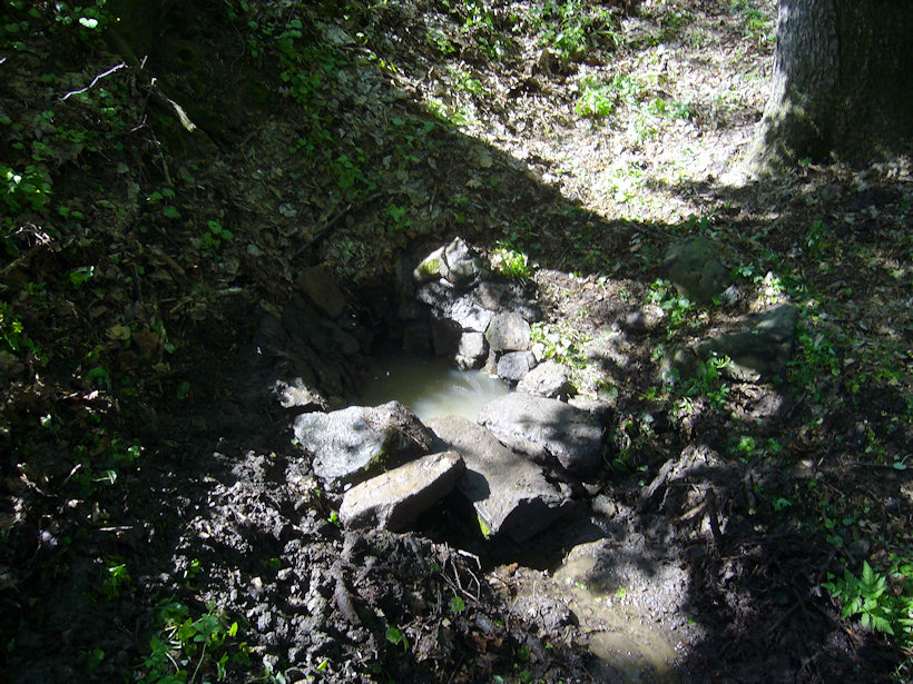 Hruškova studánka (1298)