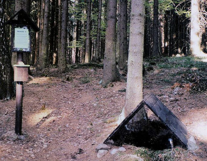 Studánka Lesních skřítků (130)