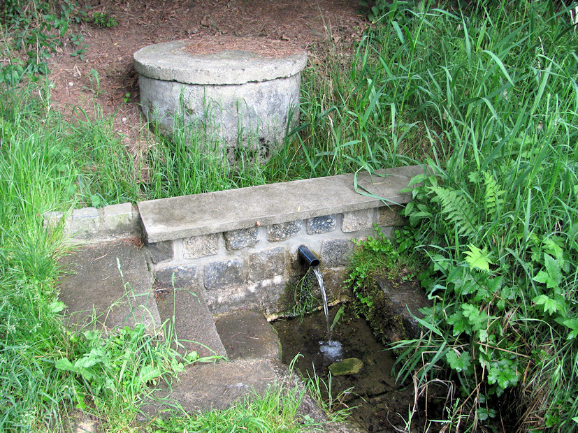 studánka bez jména (1306)