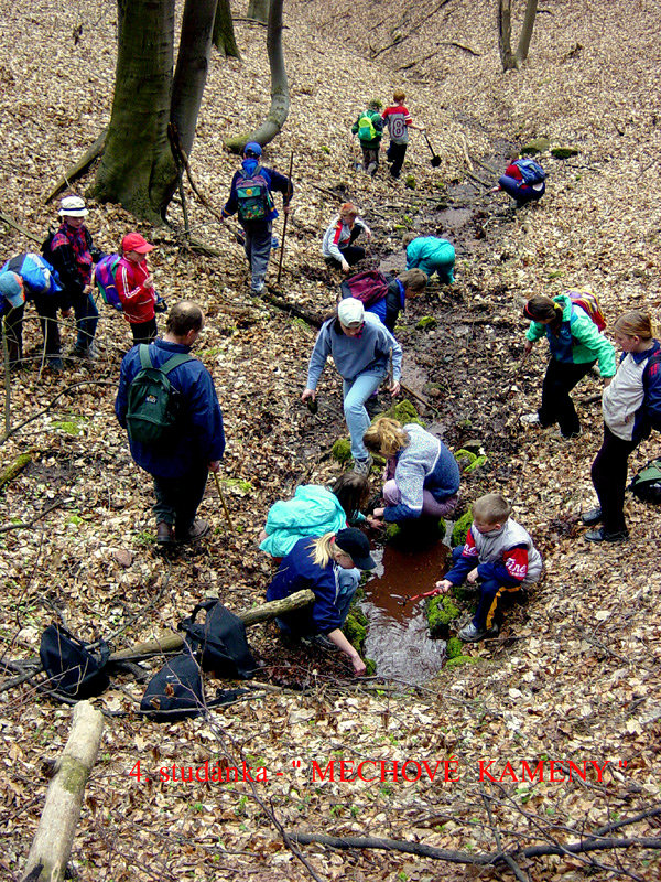 studánka U mechových kamenů (1308)