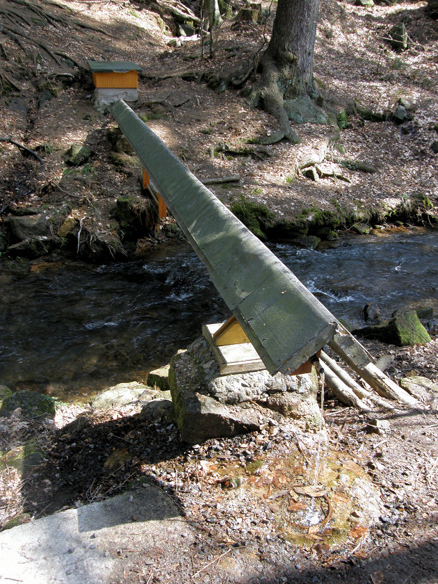 studánka Miletínská (1311)