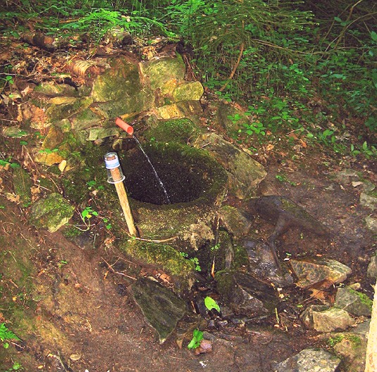 studánka Zelená (1331)