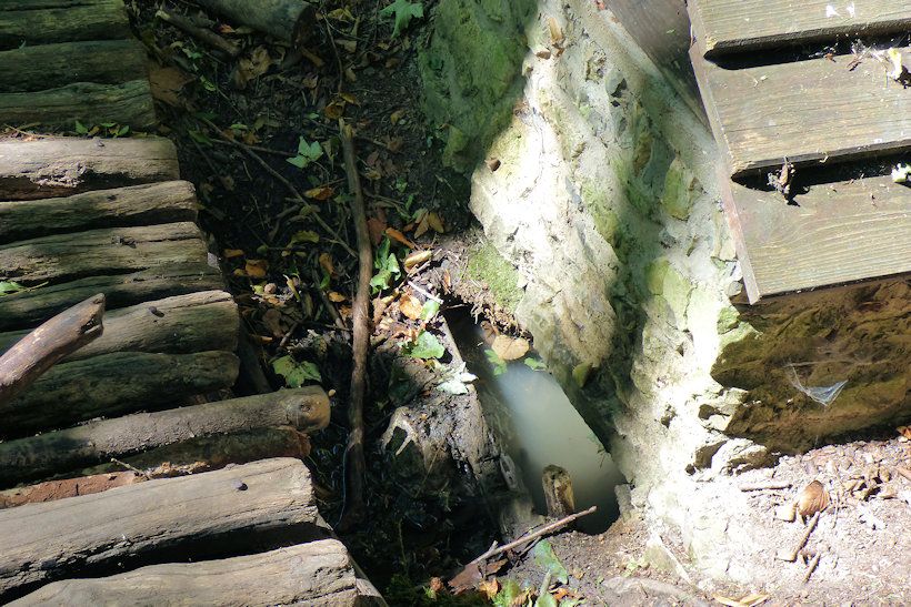 Karlova studánka (135)