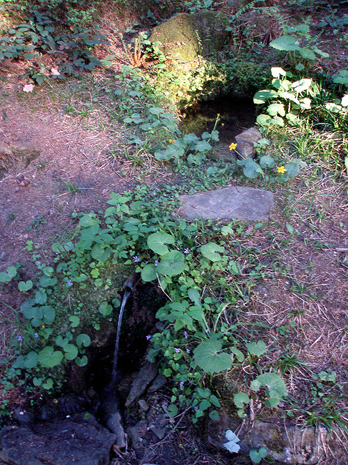 studánka Na Pasekách (1350)