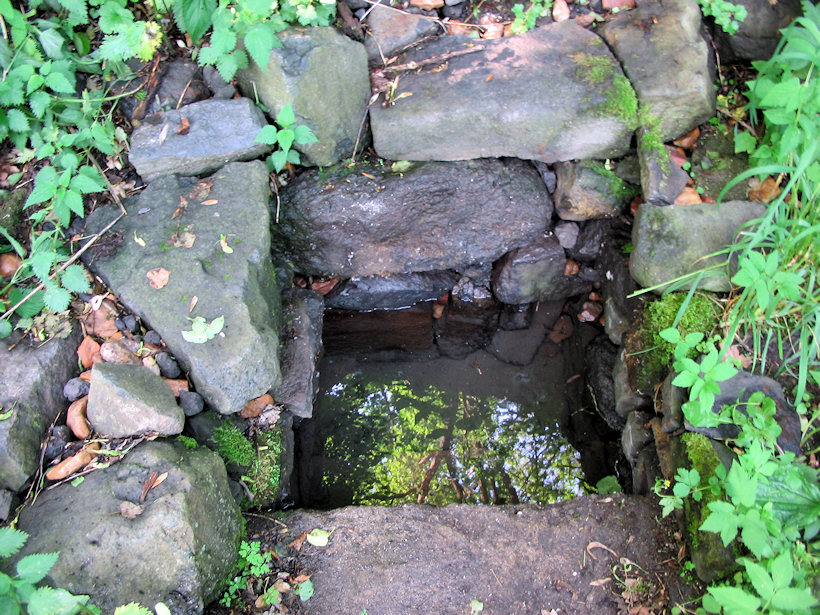 studánka bez jména (1362)