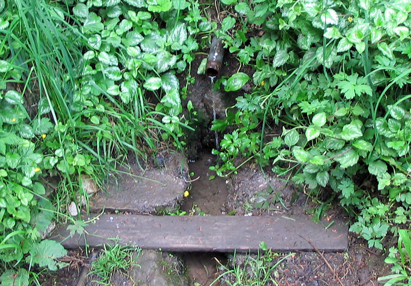 studánka K Piskovce (1363)