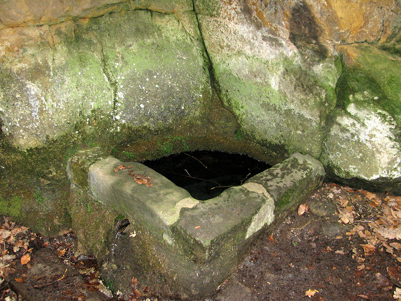 studánka bez jména (1364)