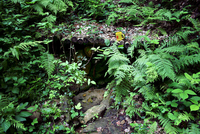 Kinclova studánka (1366)