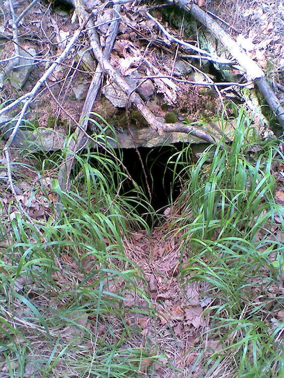 studánka Bouchalka (1379)