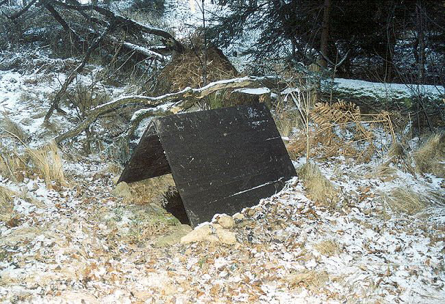 Dubová studánka (138)