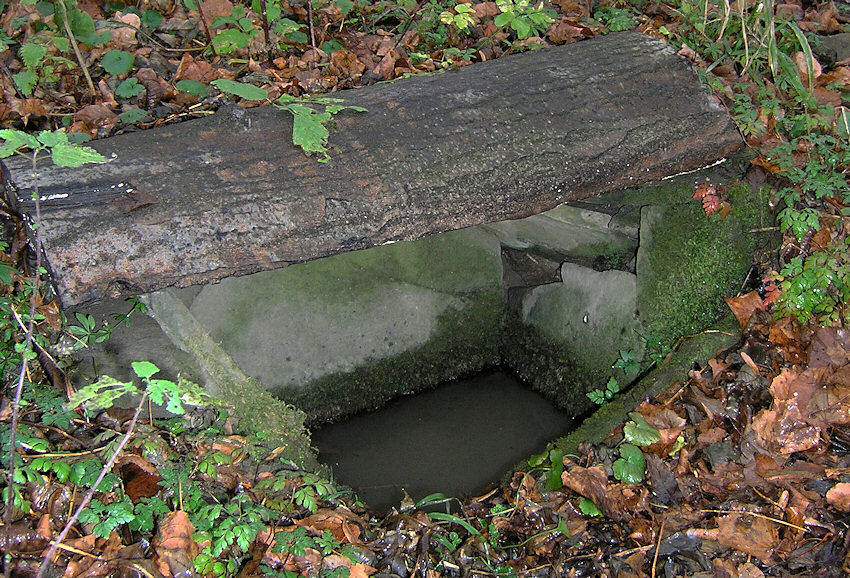 studánka bez jména (1387)