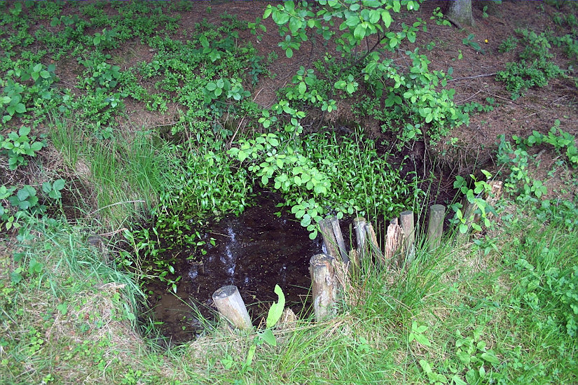 pramen bez jména (1389)